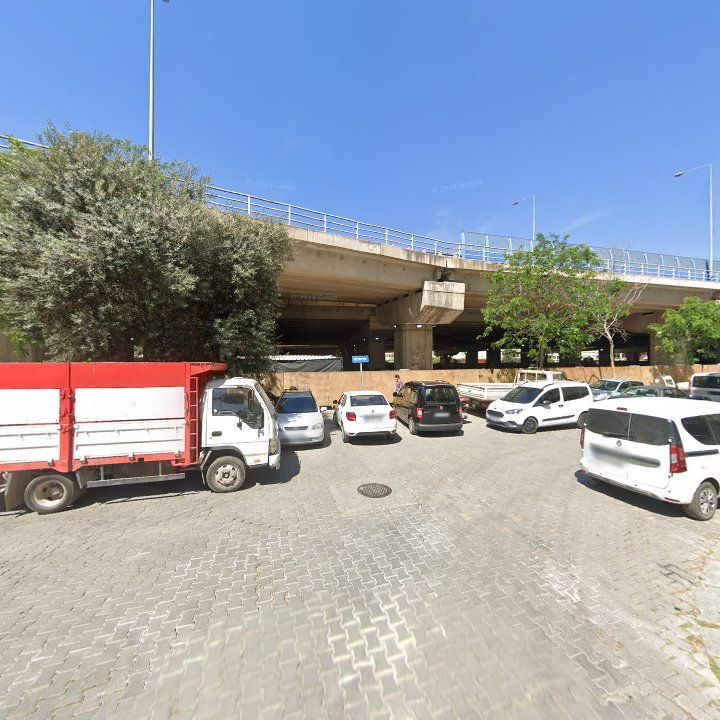 Fotoğraf 11
