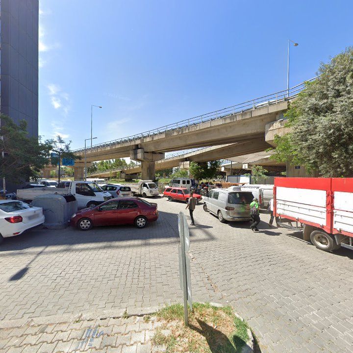 Fotoğraf 10