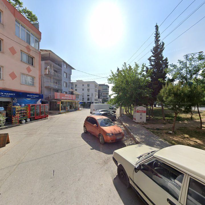 Fotoğraf 7