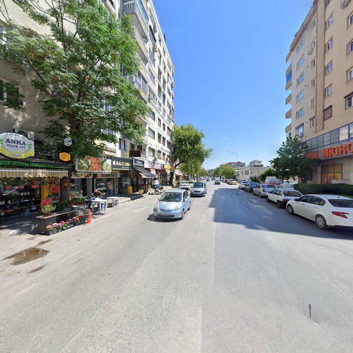 Fotoğraf 2