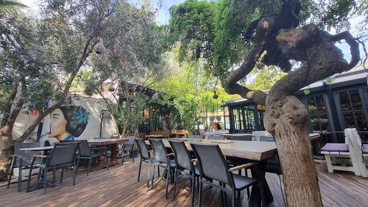 Varuna gezgin cafe - izmir - bornova köşk