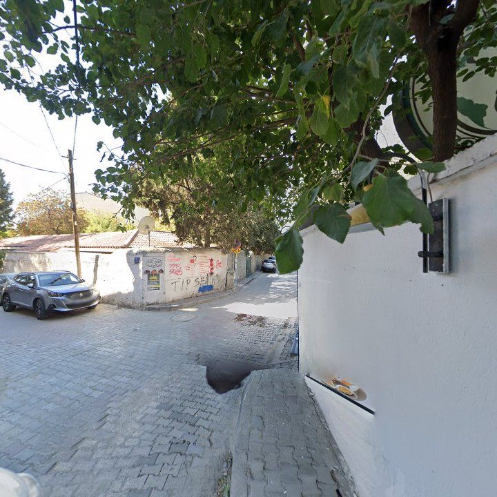 Fotoğraf 14