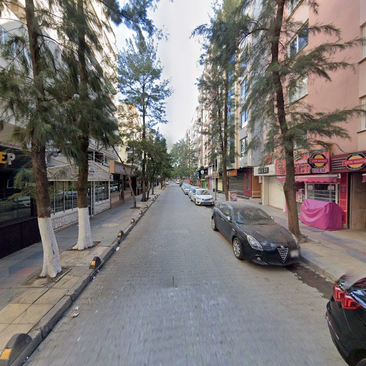 Fotoğraf 11
