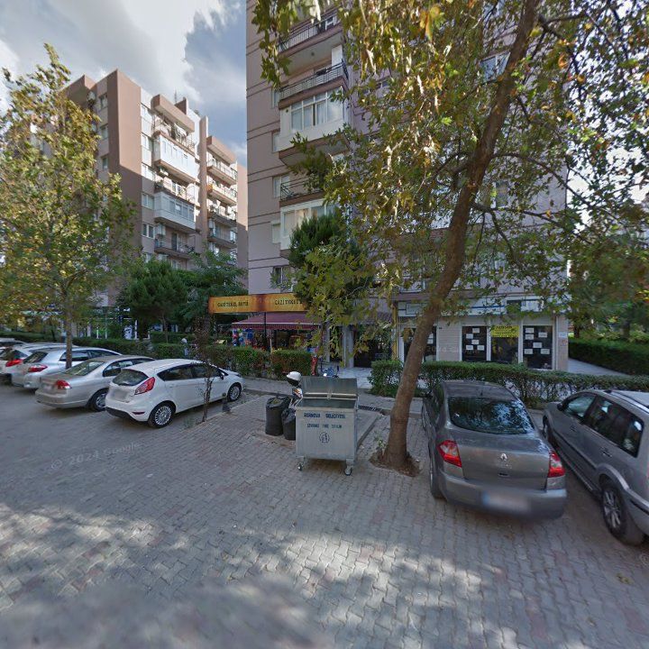 Fotoğraf 12