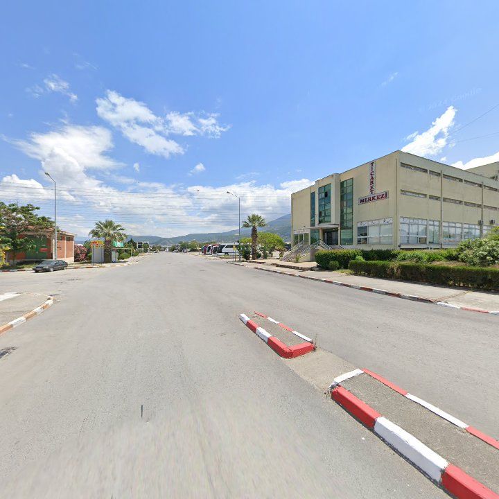 Fotoğraf 9
