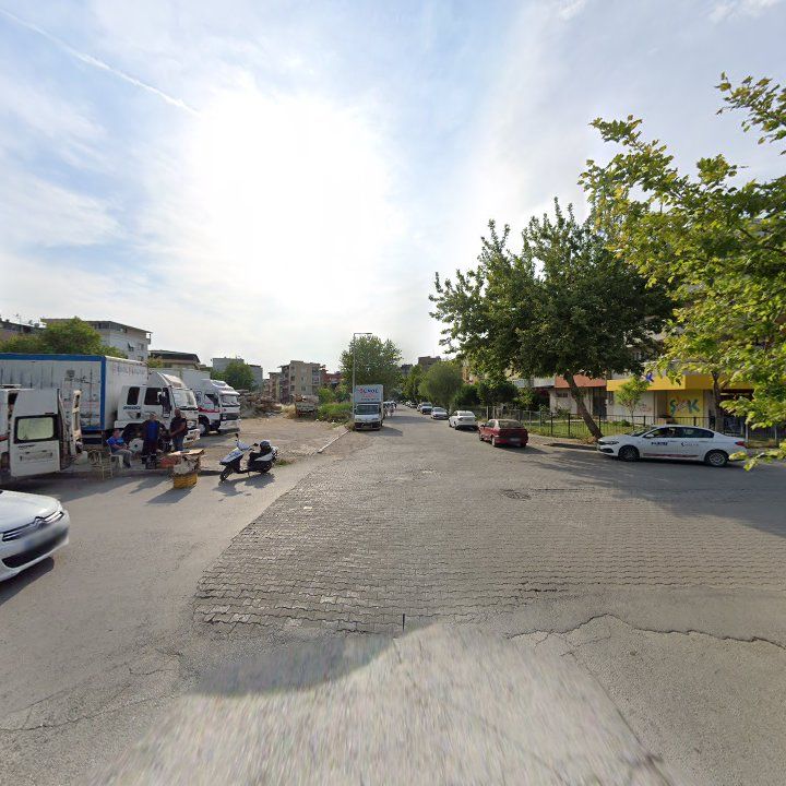 Fotoğraf 13