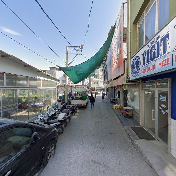 Fotoğraf 9