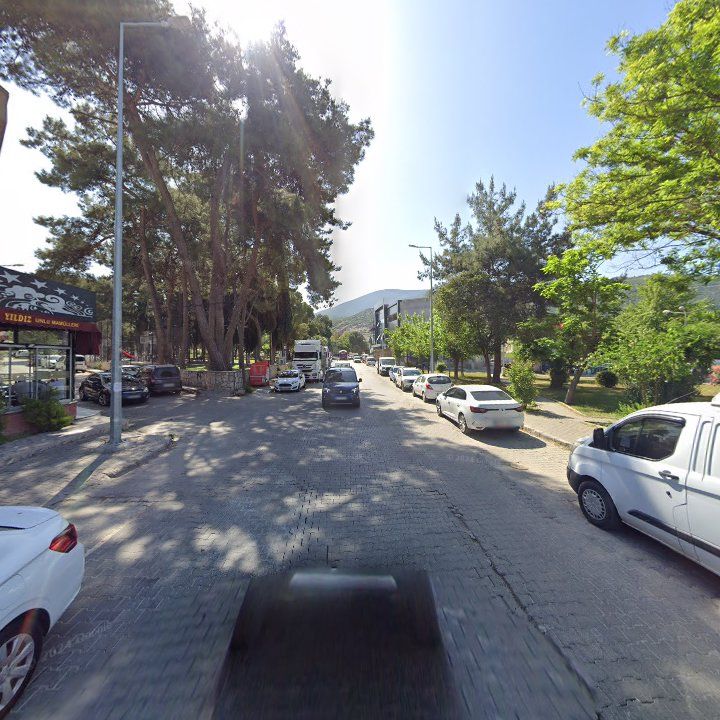 Fotoğraf 6