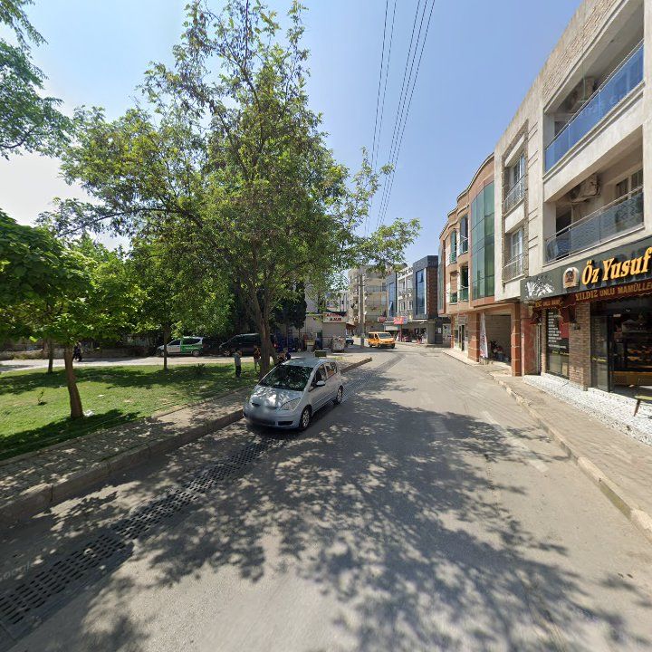 Fotoğraf 7