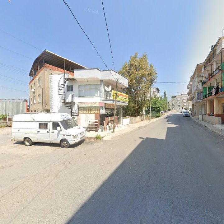 Fotoğraf 8