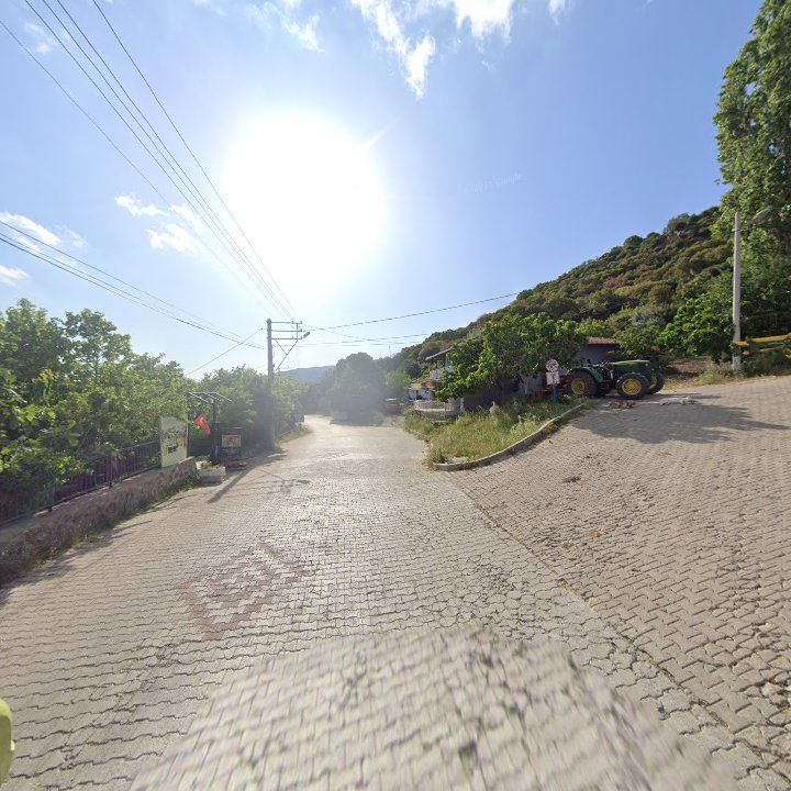 Fotoğraf 10