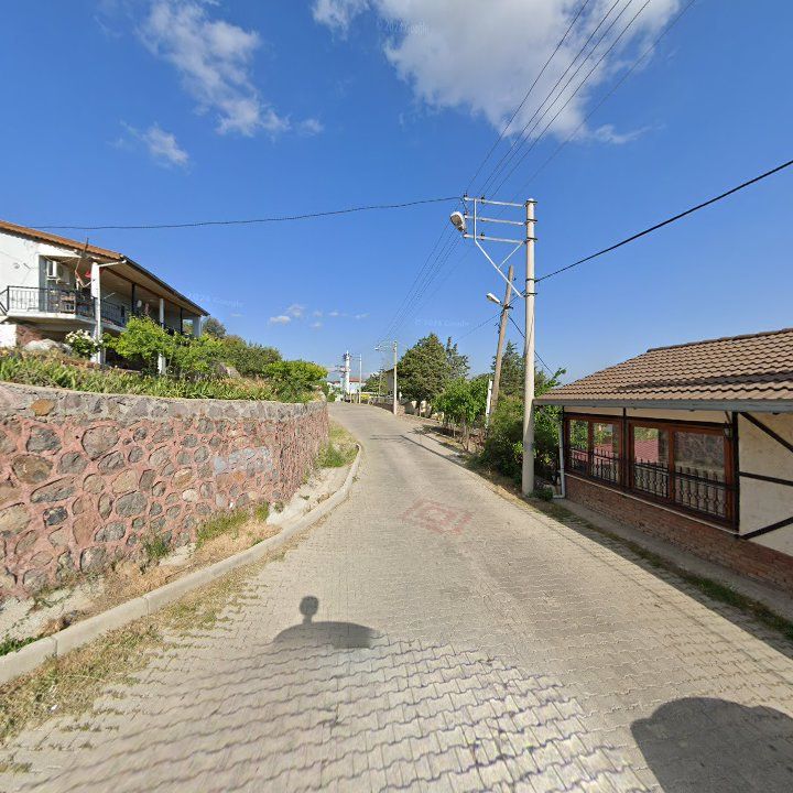 Fotoğraf 12