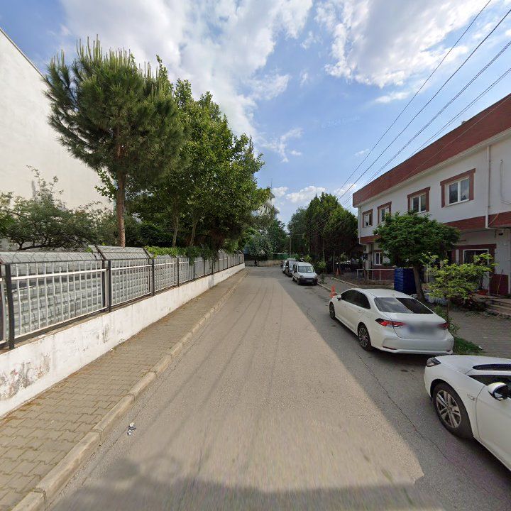 Fotoğraf 9