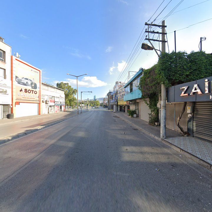 Fotoğraf 14