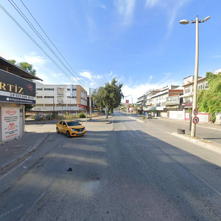 Fotoğraf 12