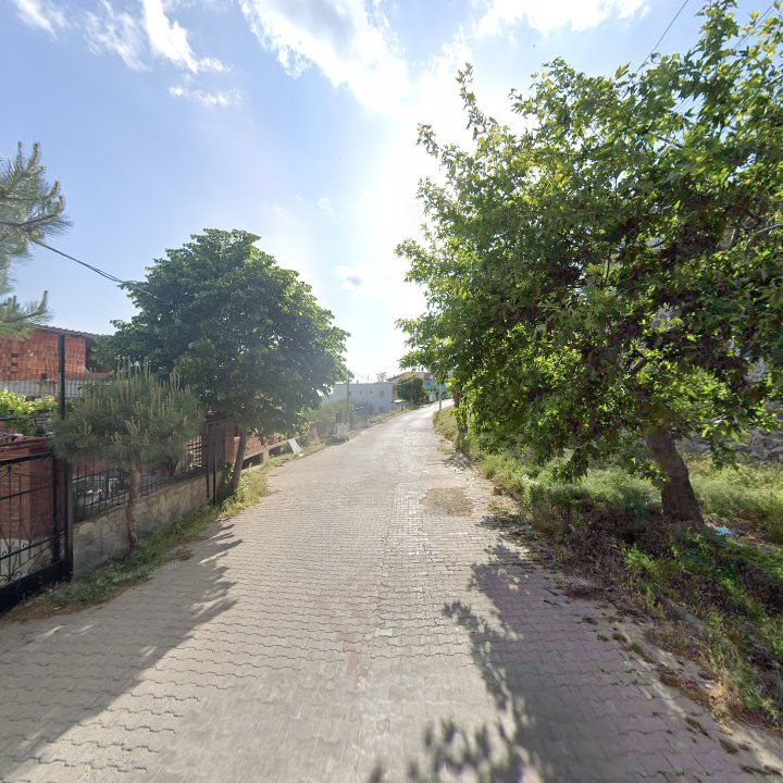 Fotoğraf 8