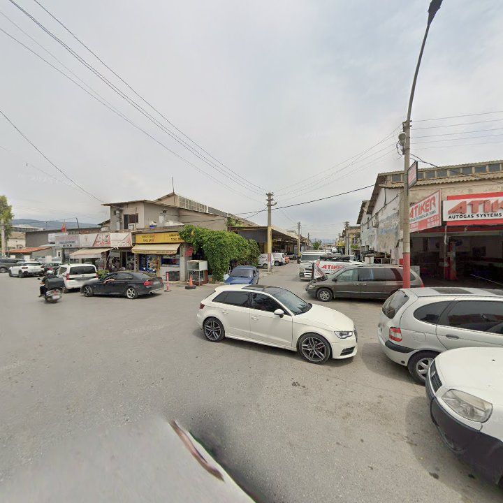 Fotoğraf 3