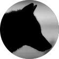 Börü