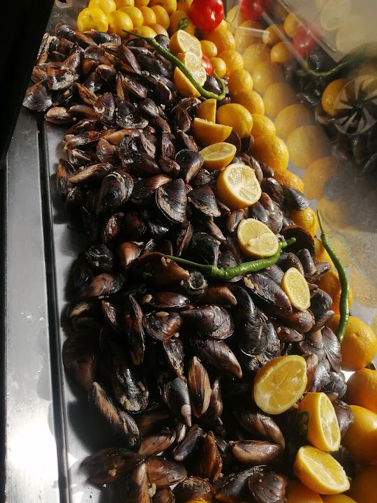 Fotoğraf 15