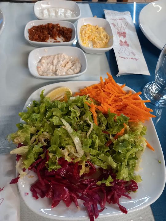 Fotoğraf 12