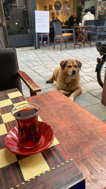 Yorum fotoğrafı 2