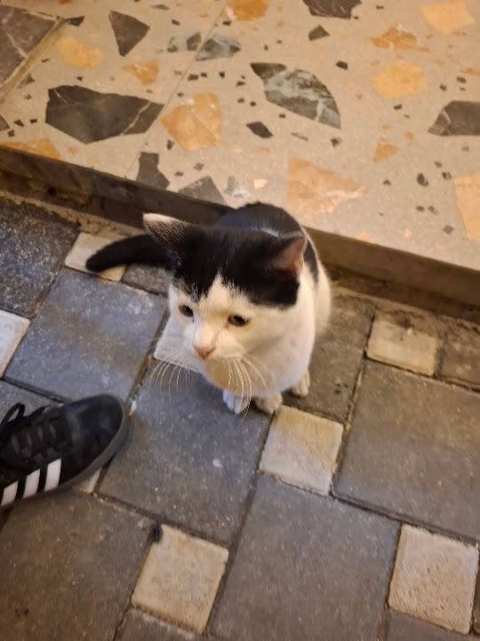 Yorum fotoğrafı 3