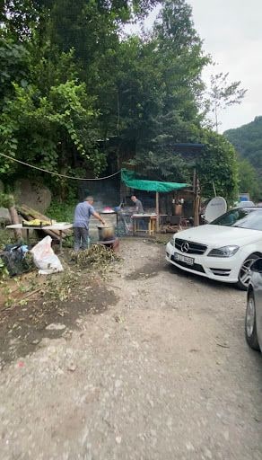 Fotoğraf 16