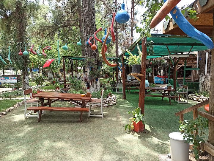 Fotoğraf 29