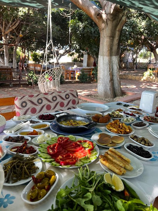 Yorum fotoğrafı 1