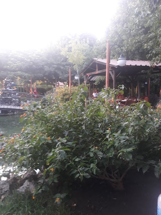 Fotoğraf 55