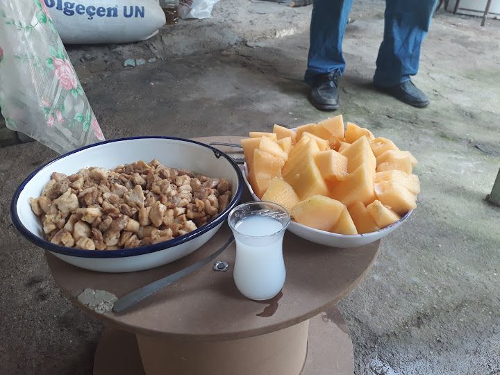 Fotoğraf 16