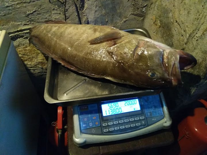 Fotoğraf 29