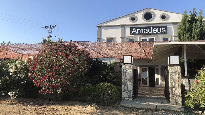 Mozart Kafe Şarap Evi