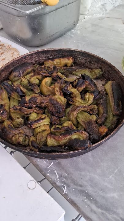 Fotoğraf 12