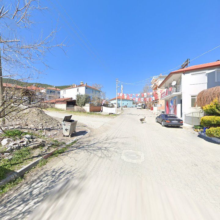 Fotoğraf 8