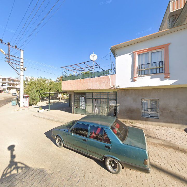 Fotoğraf 7