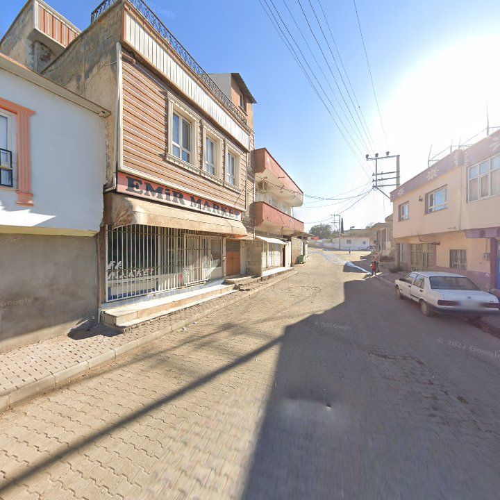 Fotoğraf 8