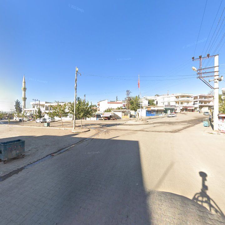 Fotoğraf 6