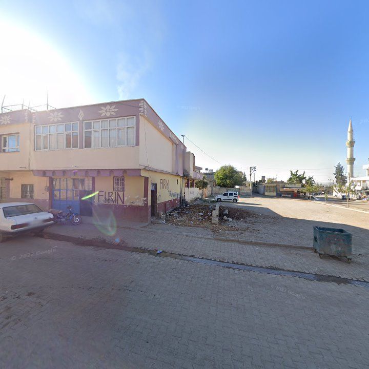 Fotoğraf 5