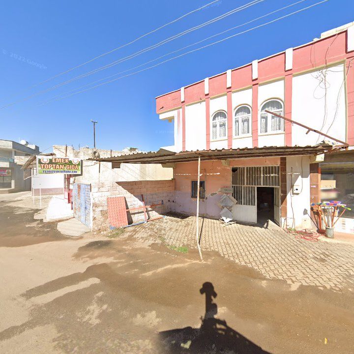 Fotoğraf 6