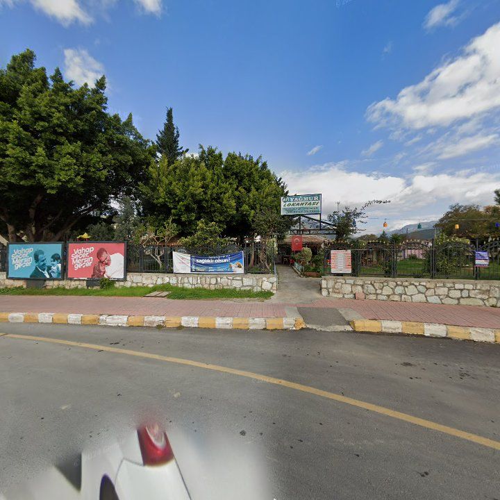 Fotoğraf 5