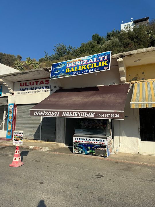 Bozyazı Denizaltı Balıkçılık