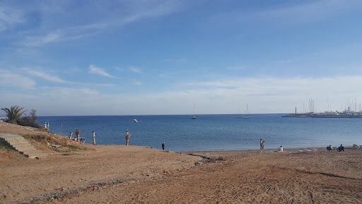 Fotoğraf 15