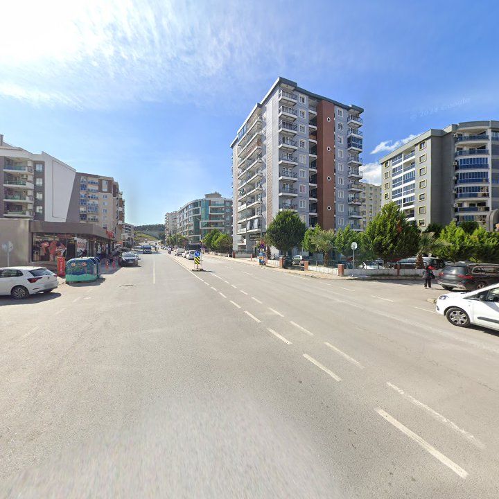Fotoğraf 9