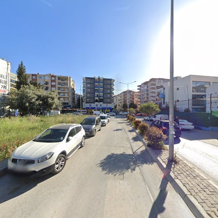 Fotoğraf 11