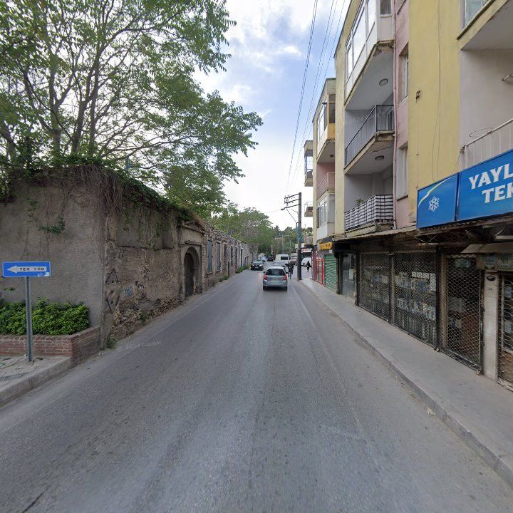 Fotoğraf 9