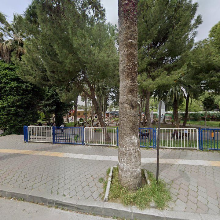Fotoğraf 8