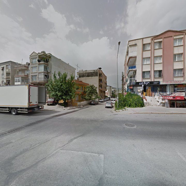 Fotoğraf 7
