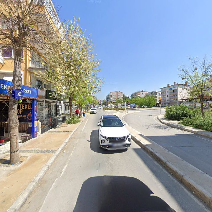 Fotoğraf 12