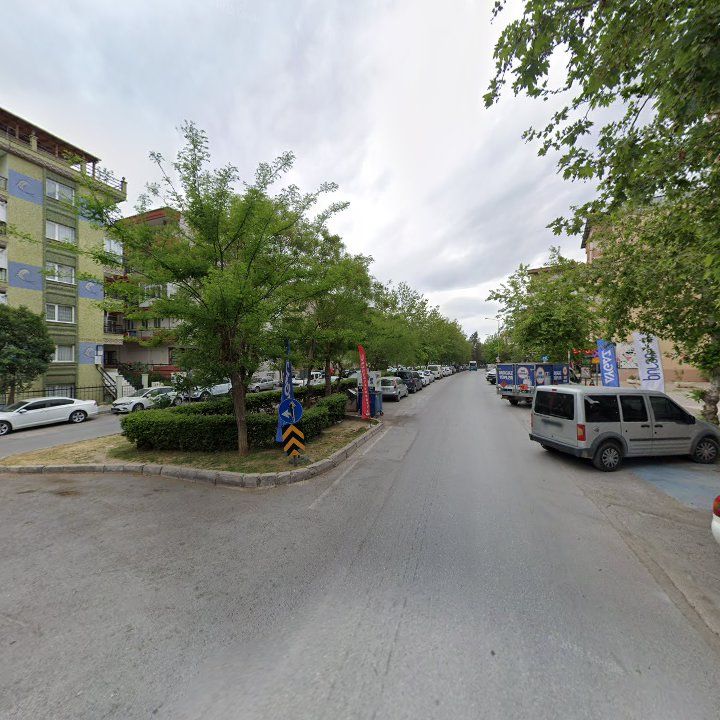Fotoğraf 10